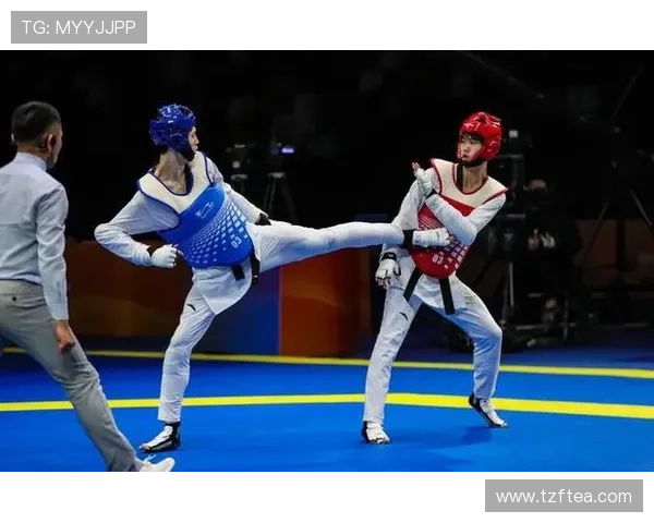 跆拳道世锦赛男子74公斤级决赛巴西选手与乌兹别克斯坦选手激烈对决 跆拳道世锦赛男子74公斤级决赛巴西选手与乌兹别克斯坦选手激烈对决